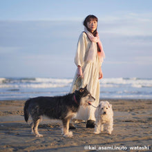 画像をギャラリービューアに読み込む, シャトルコットンシルク ストール